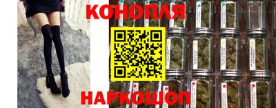 дживик Будённовск